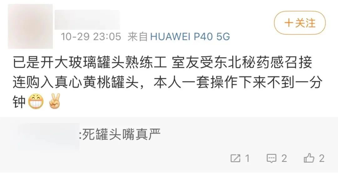 每个东北人,都是被它忽悠大的