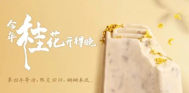 凛冬已至，钟薛高“休眠”