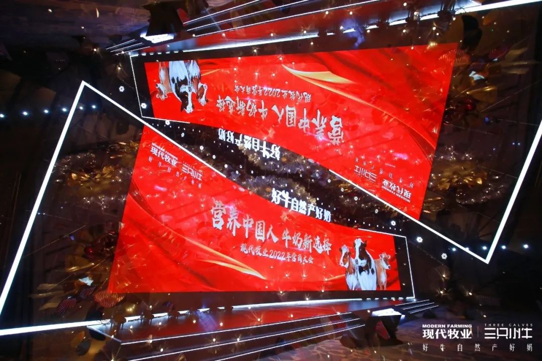 A2牛奶又添新玩家，三只小牛如何走差异化赛道？