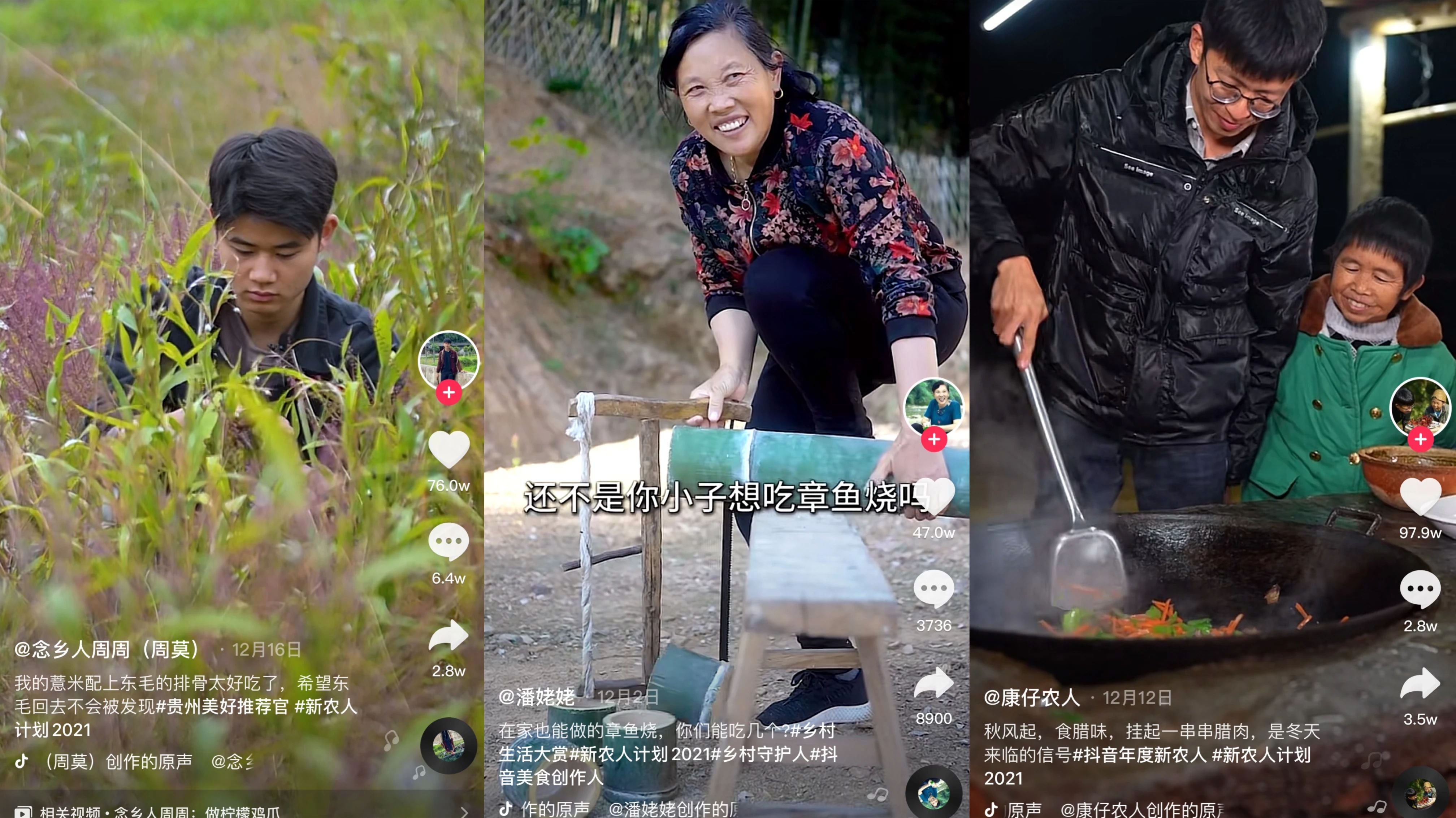 “三农”,互联网最后的红利:张同学、李子柒不是“标准答案”