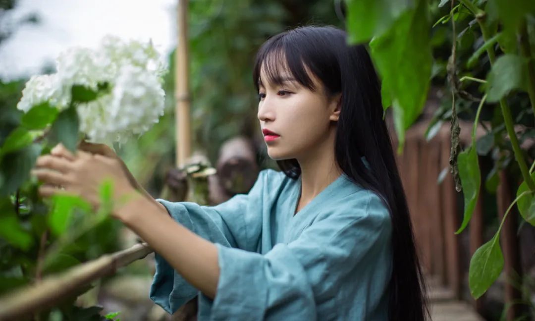 “三农”,互联网最后的红利:张同学、李子柒不是“标准答案”