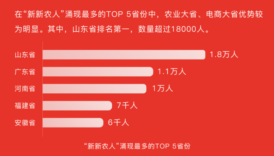 “三农”,互联网最后的红利:张同学、李子柒不是“标准答案”