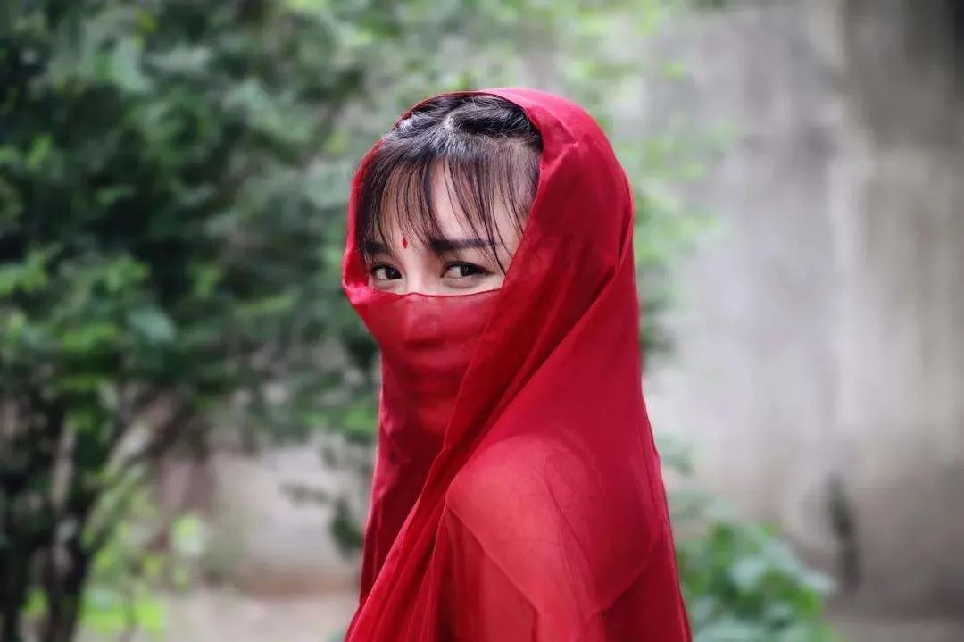 1650万老外在等李子柒
