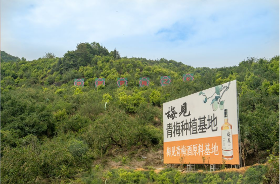 年复合增速35%,市场规模将达2500亿,这个行业站上了未来10年的投资风口