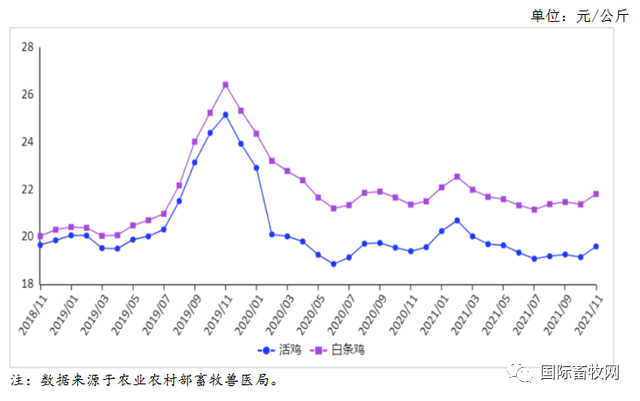 2022年中国禽肉行业运行走势预测