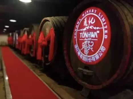 亏损的ST通葡连续涨停,国产葡萄酒站起来了?