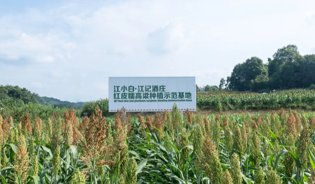 工信部定调白酒新方向,苦战十年的江小白们,要来了?