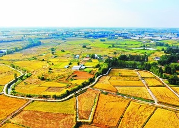 农业农村部部长唐仁健解读2022年中央一号文件