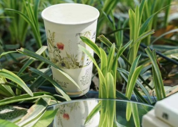 茶颜悦色推出首款植物基饮品：栀子生椰