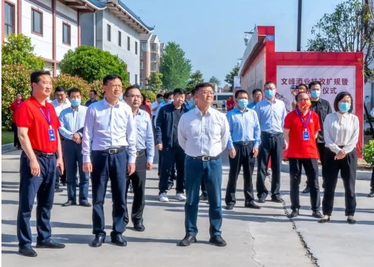 文峰酱酒投产仪式举行，开启中高端白酒之路