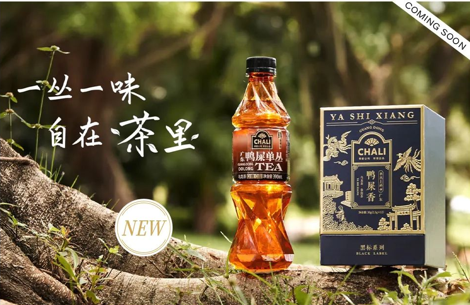 茶里鸭屎单丛.png