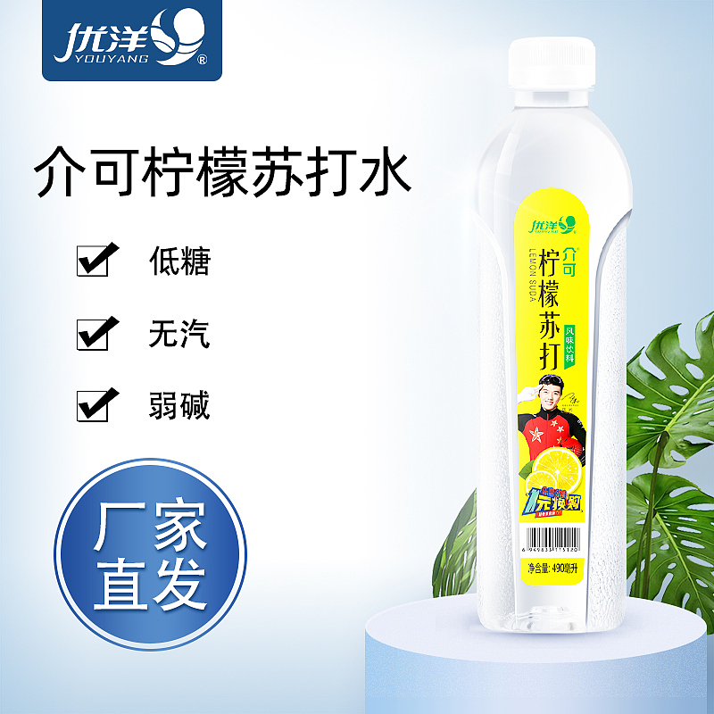 介可果味苏打490ML