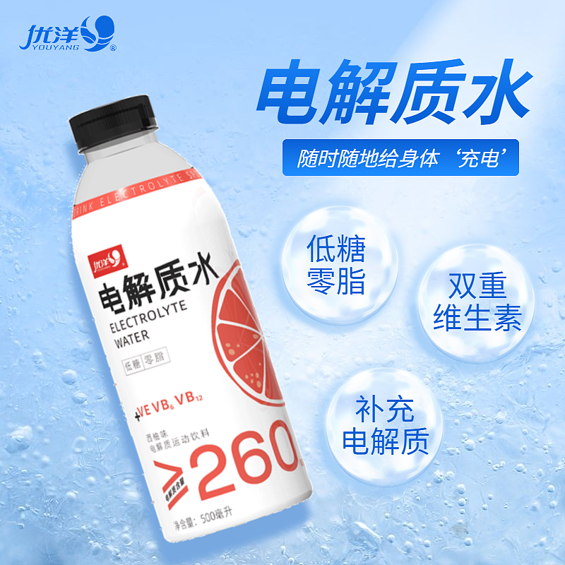 电解质补水液500ML