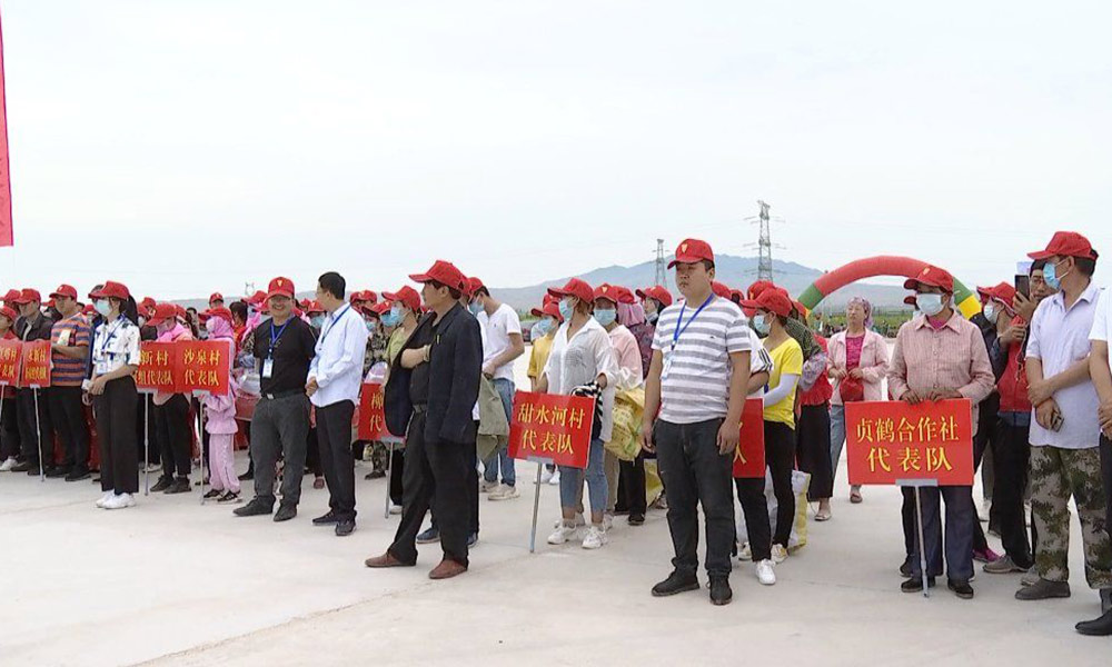 “致富花”助宁夏农民走上小康路