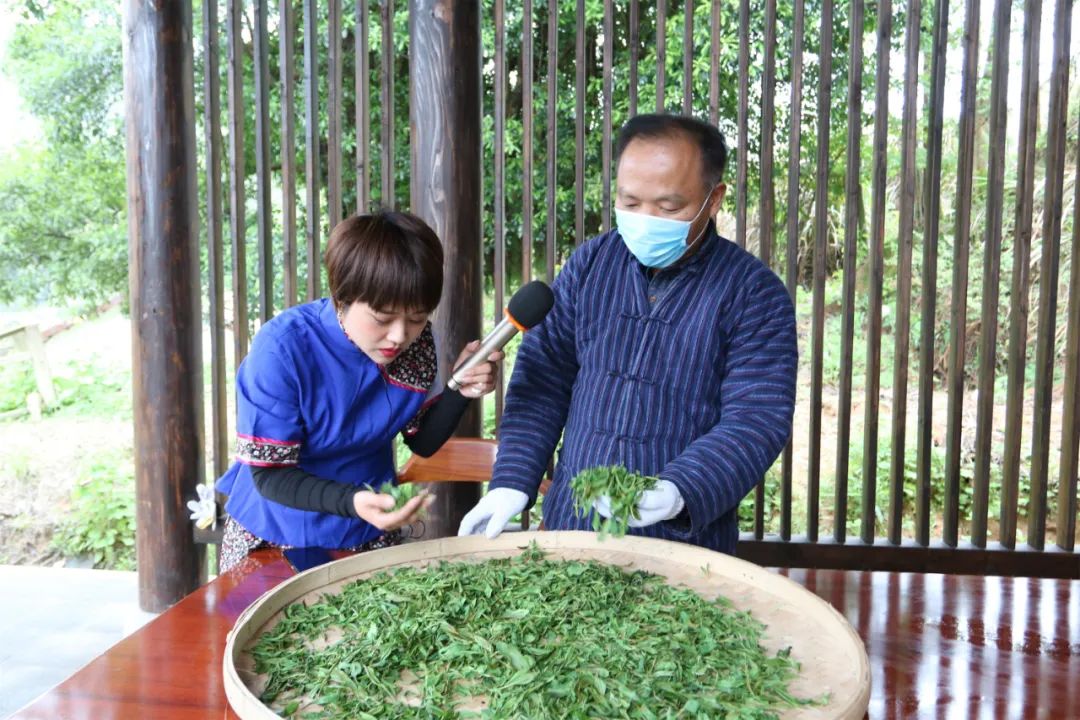 茶香不怕巷子深,福寿山茶农有福啦!