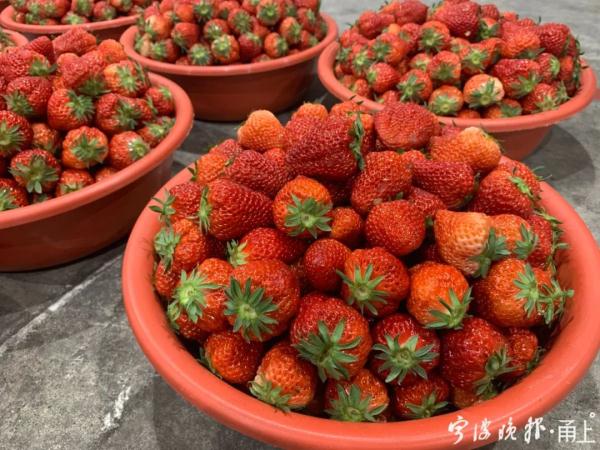 再过一个月就要下市！宁波人爱吃的这种水果批发价腰斩