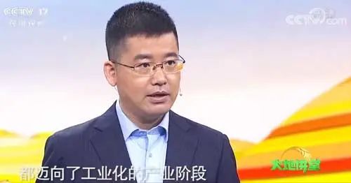 打造中国茶的超级品牌，和君在努力