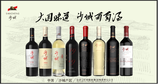 王海龙:重回“沙老大”荣光