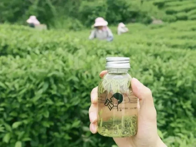 昔日网红品牌现状，有的败光2亿，有的团队分家