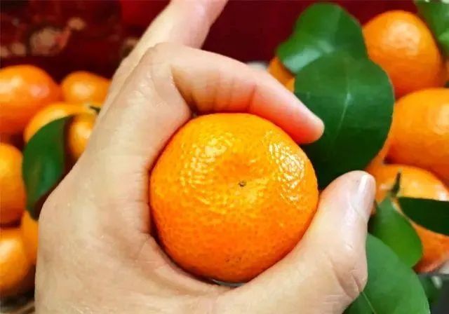 一年吃掉18万吨,价格腰斩还嫌贵,车厘子是怎么被捧上天的?
