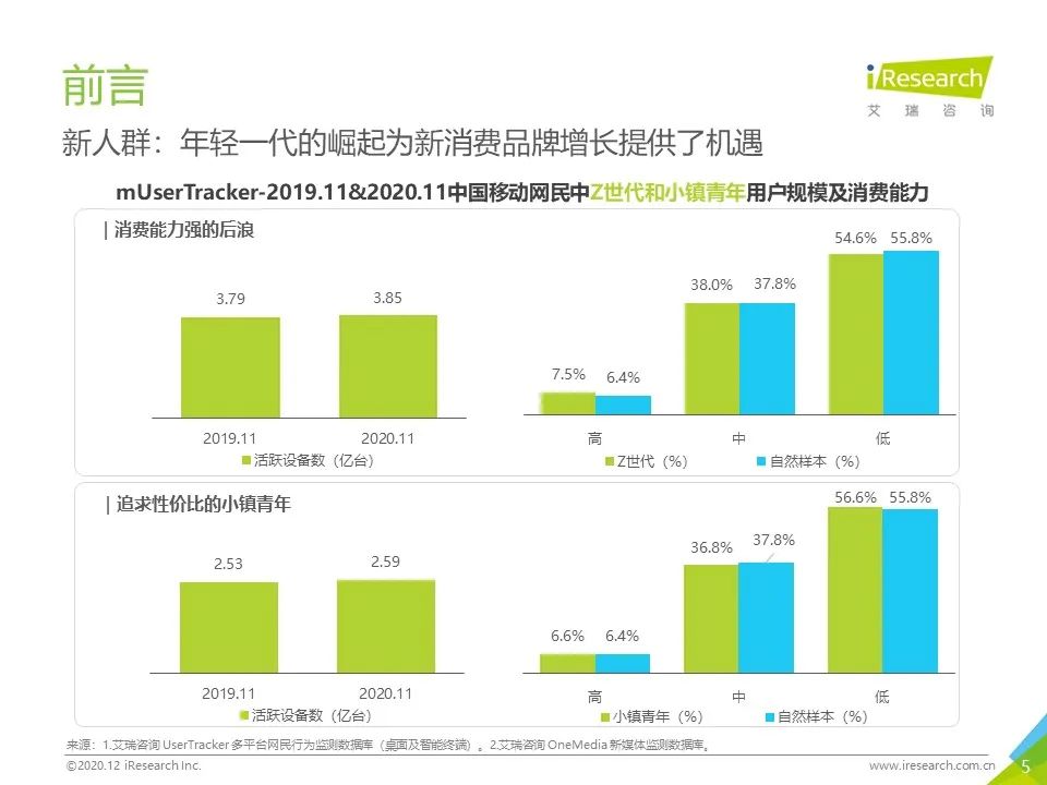 中国网络营销投放监测系列报告—新消费品牌
