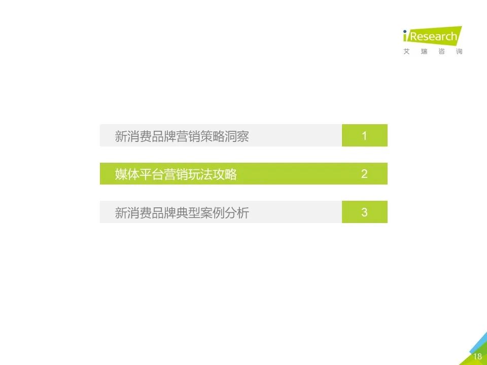 中国网络营销投放监测系列报告—新消费品牌