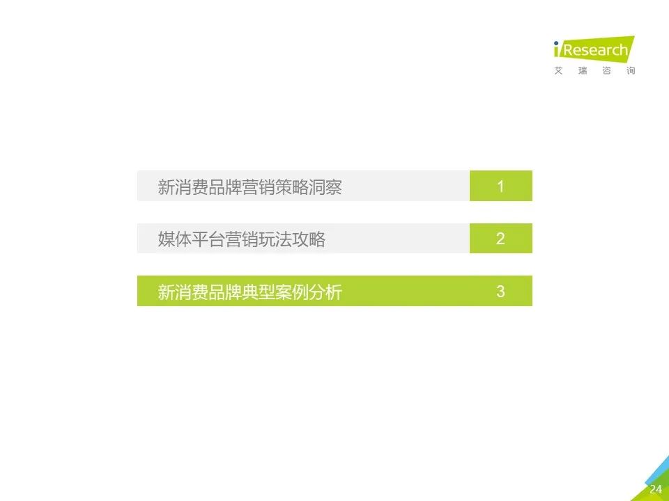 中国网络营销投放监测系列报告—新消费品牌