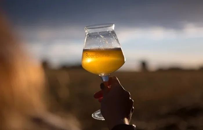 全球啤酒行业呈现7大消费新趋势