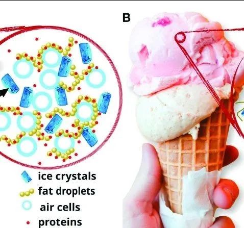 世纪最强预言！喝西北风竟然从一个梗变为现实？