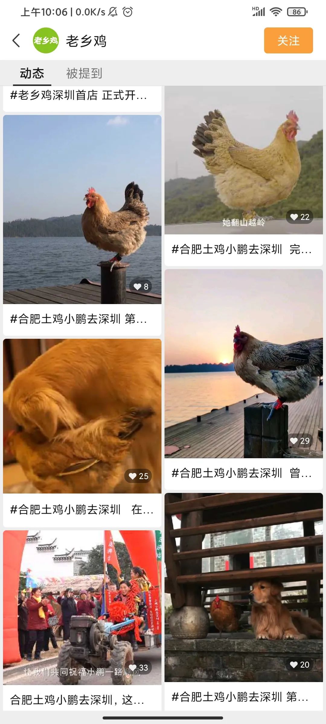 视频号爆发期：最会玩的餐饮品牌已经开始……