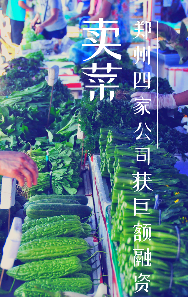 视频号爆发期：最会玩的餐饮品牌已经开始……
