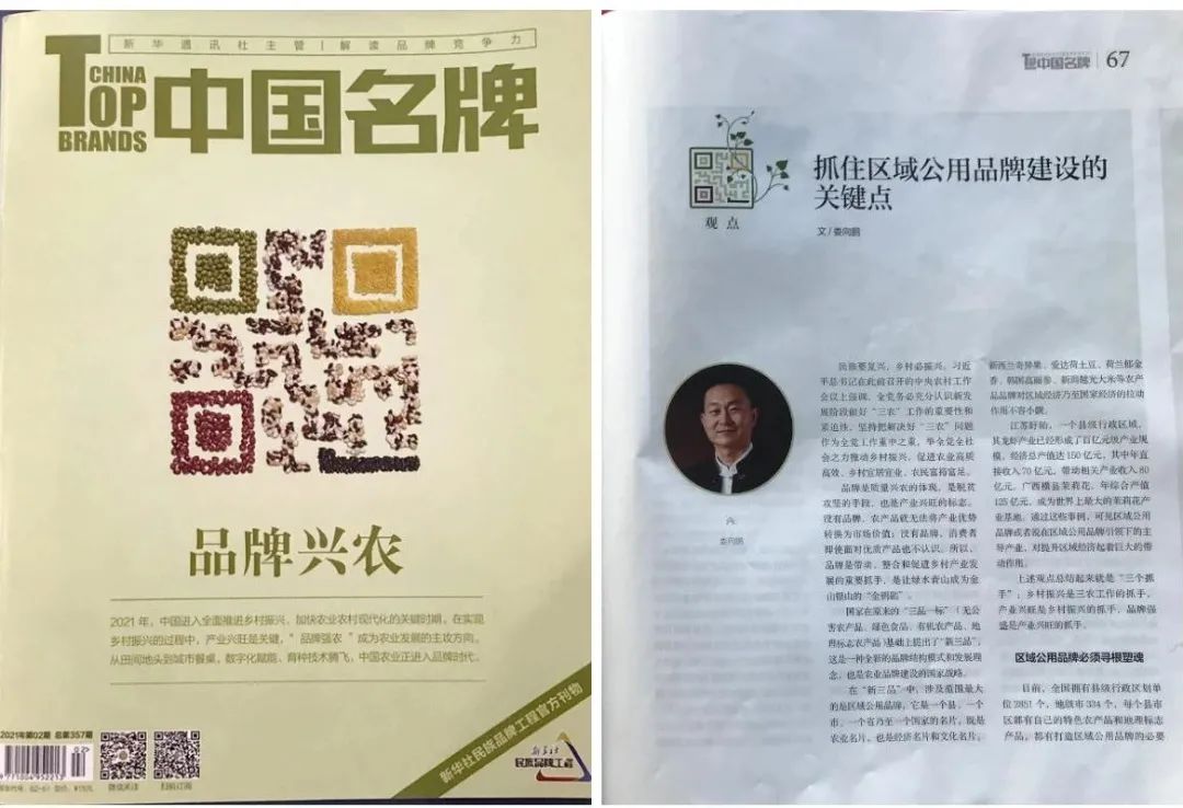 娄向鹏:抓住区域公用品牌建设的关键点
