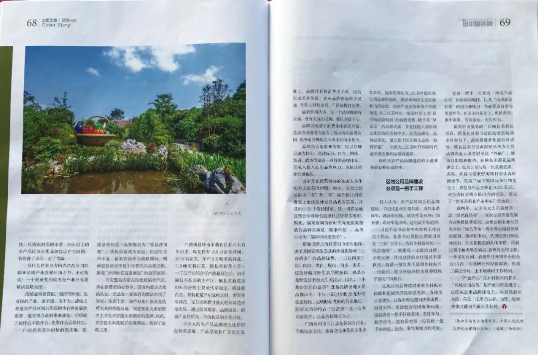 娄向鹏:抓住区域公用品牌建设的关键点