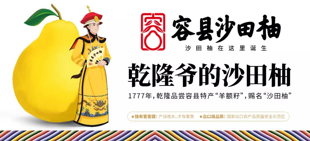 娄向鹏:抓住区域公用品牌建设的关键点