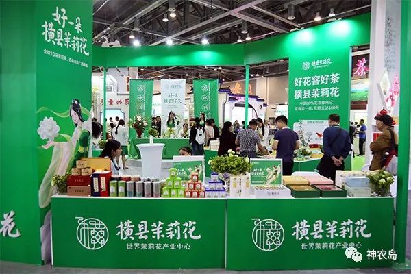 娄向鹏:抓住区域公用品牌建设的关键点