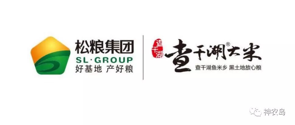 县委书记当好乡村振兴一线总指挥的“七个必须”