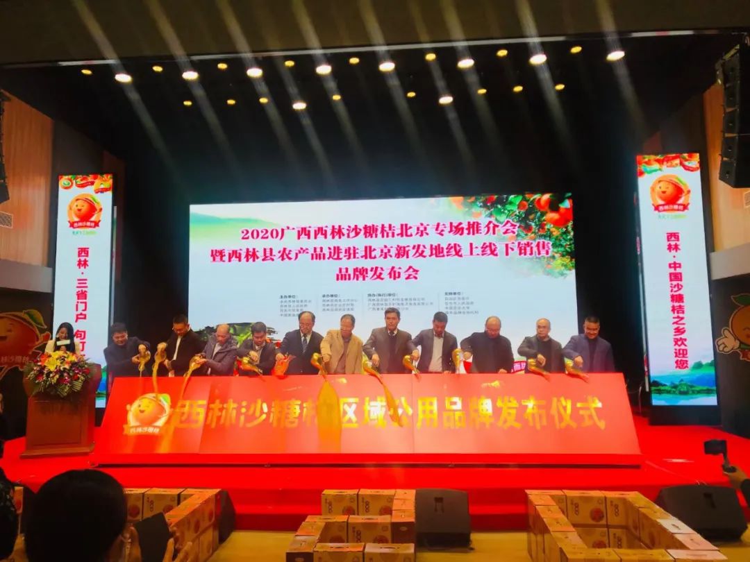 县委书记当好乡村振兴一线总指挥的“七个必须”