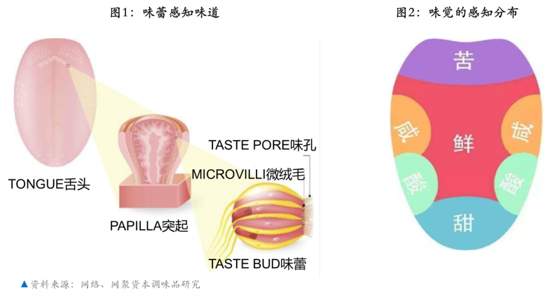 复合调味品，你真的了解吗？