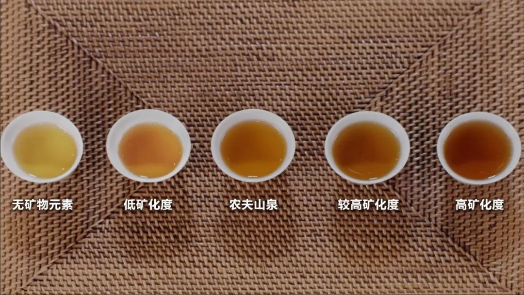 泡茶山泉水上市，助农夫山泉“纵横布局”再升级