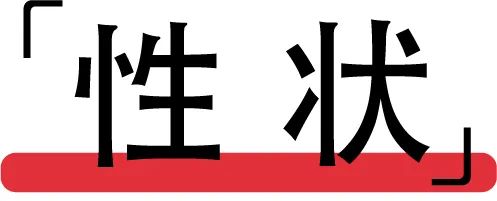 町芒评测 | 末日来临前,只有玉米片能拯救你