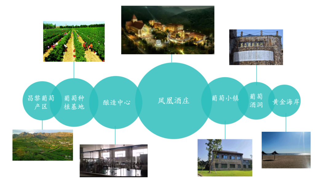 重磅案例：一文揭示2020年茅台葡萄酒何以逆势增长？！