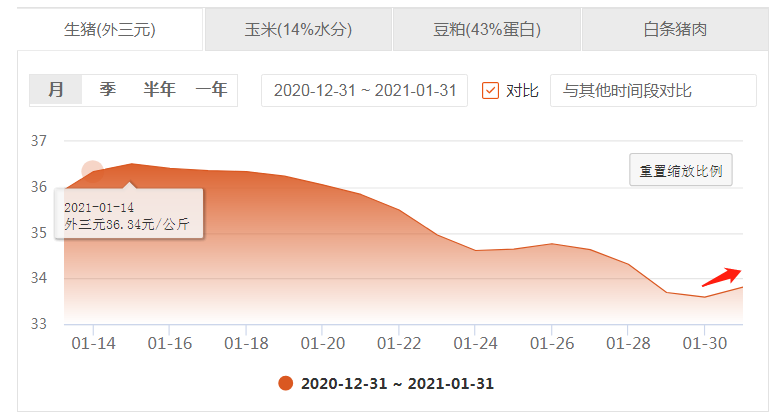 就地过年让猪肉春节刚需性弱化，猪价还会涨但空间有限