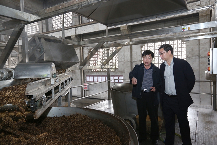 酒香天下楚天舒：稻花香集团董事长蔡开云素描