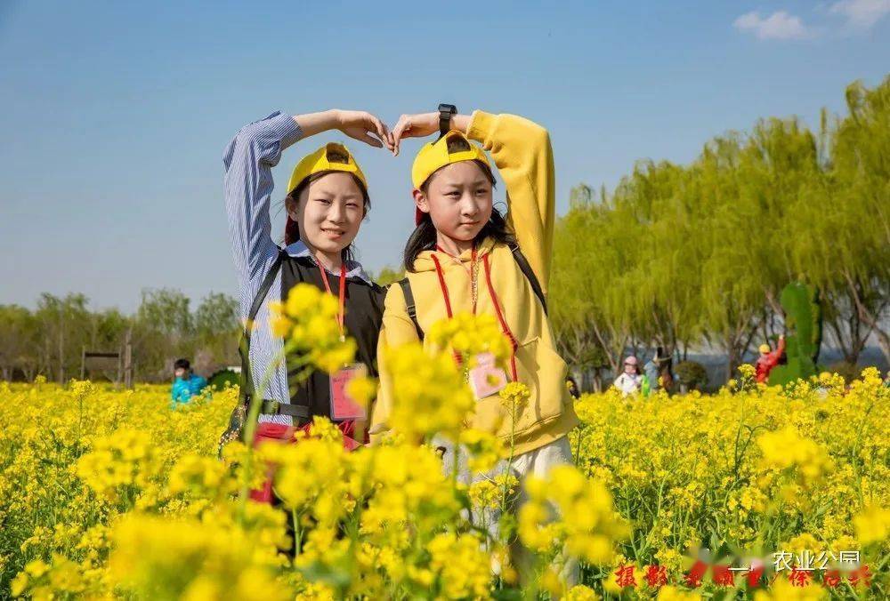 兰陵农业公园别样的美丽