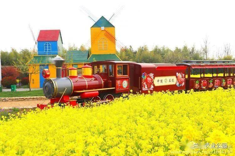 兰陵农业公园别样的美丽