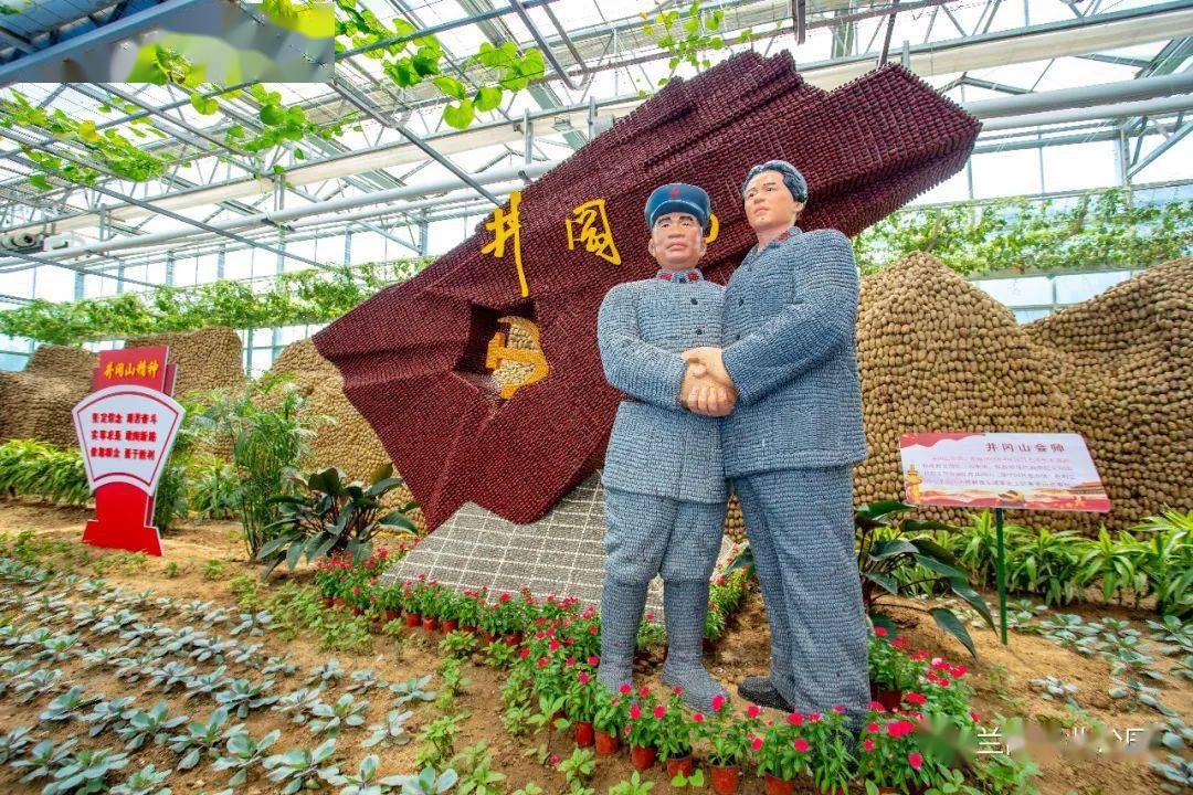 兰陵农业公园别样的美丽