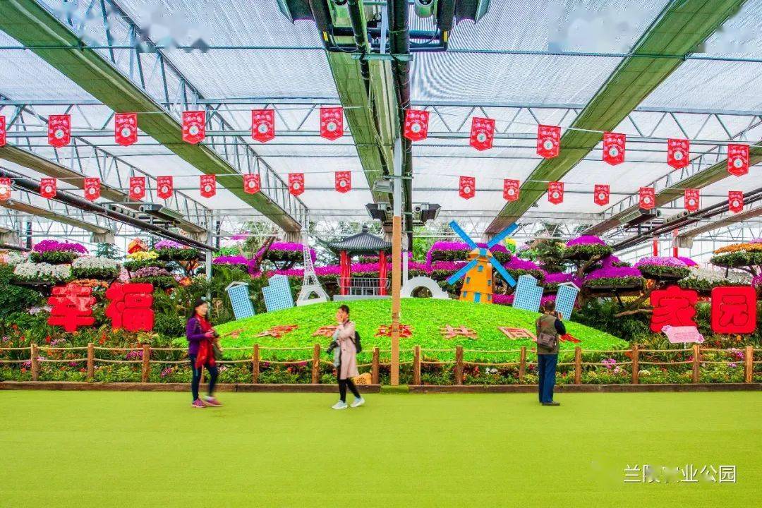 兰陵农业公园别样的美丽
