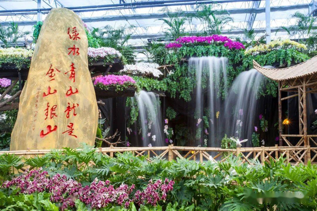 兰陵农业公园别样的美丽