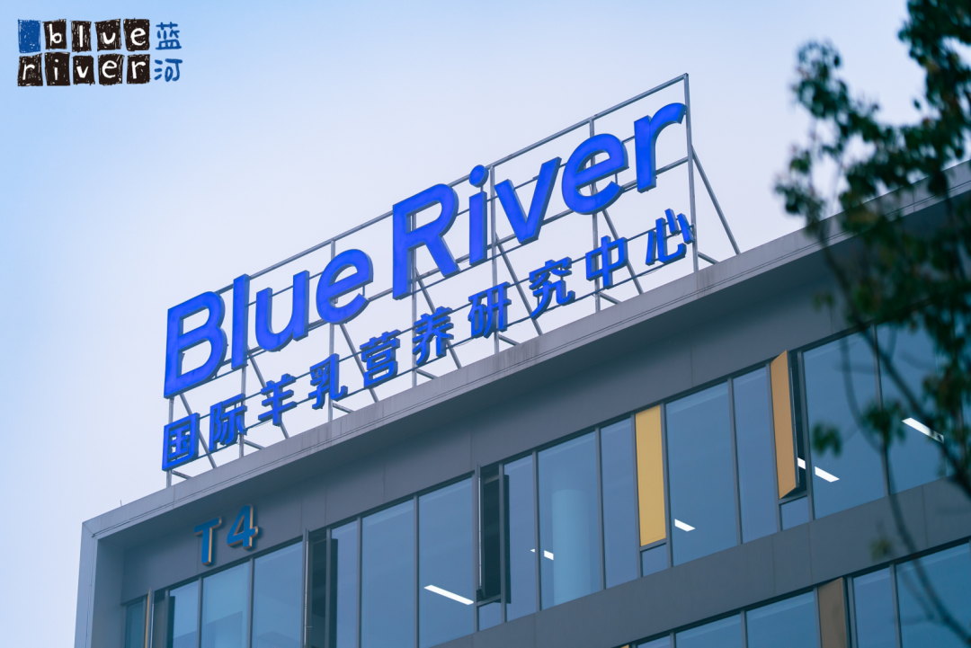 新兴品类绵羊奶粉超50%增长,蓝河领跑新高端奶粉划时代变革