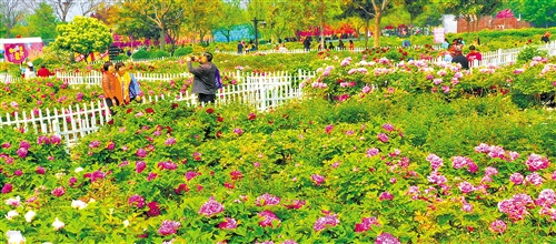 休闲农业不负春光,与春天撞个满怀